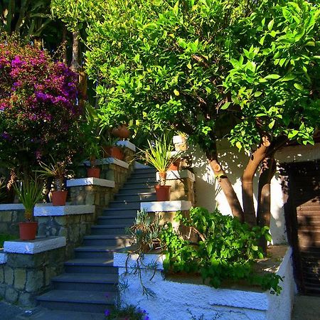 Hotel Terme Castaldi Forio di Ischia Eksteriør billede