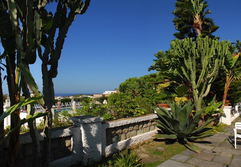 Hotel Terme Castaldi Forio di Ischia Eksteriør billede
